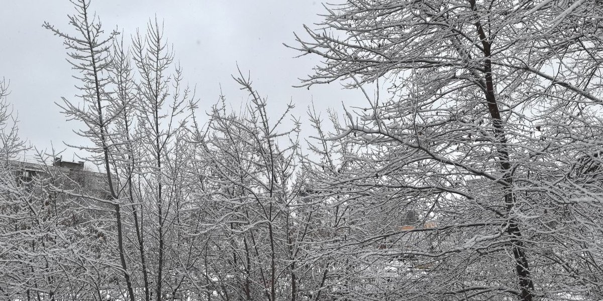 Москву ждет первый снег: синоптик Вильфанд назвал точную дату Москву ждет первый снег: синоптик Вильфанд назвал точную дату