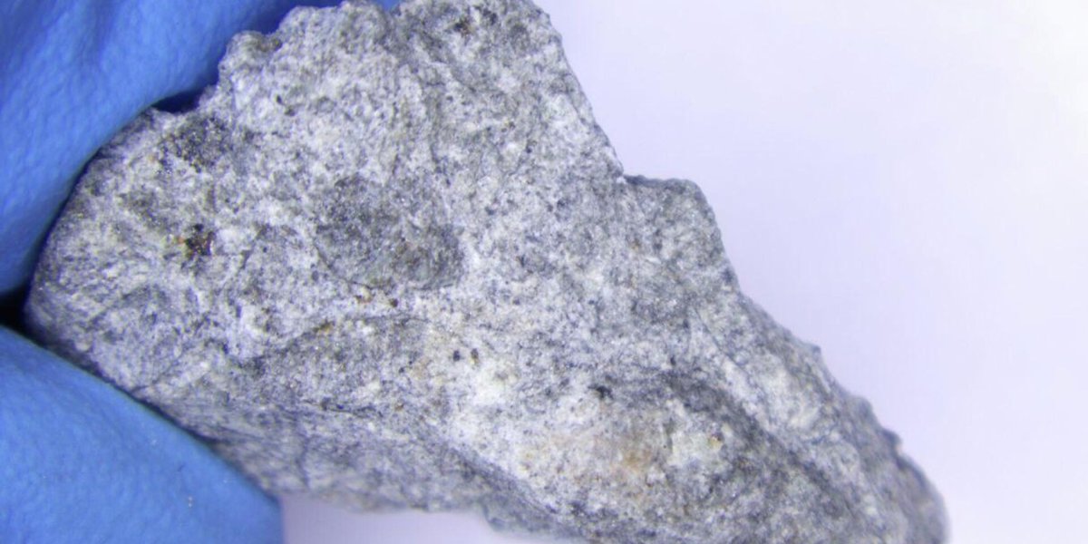 Космос пробил крышу: российские астрономы выкупили уникальный метеорит Космос пробил крышу: российские астрономы выкупили уникальный метеорит