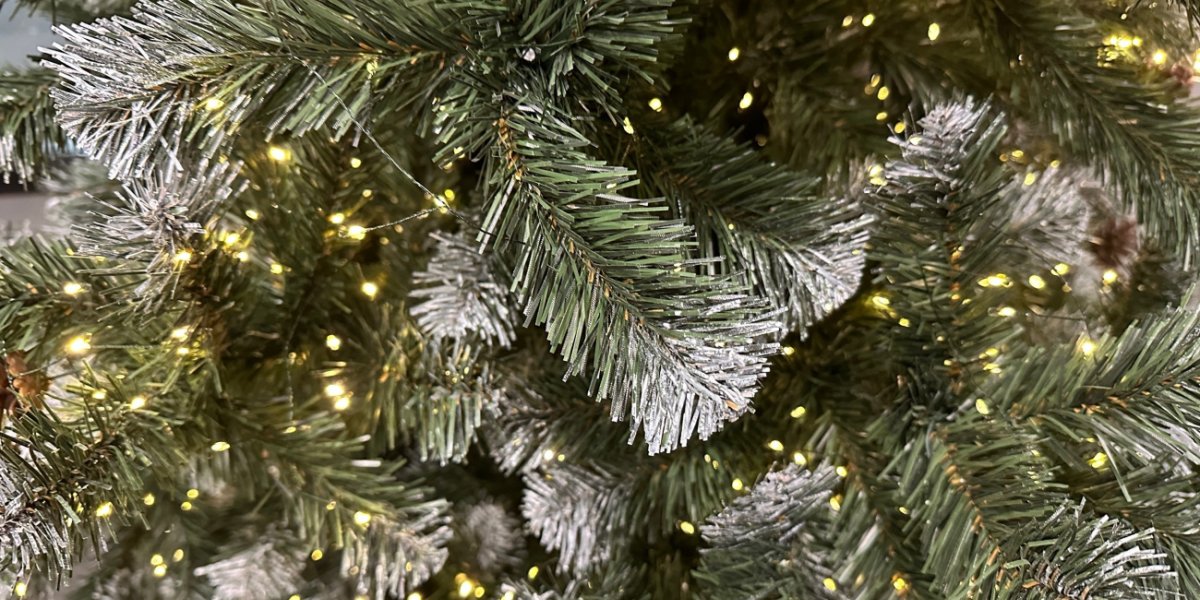 Тайный ритуал или простая традиция: как выбор дня для елки может изменить ваш 2026 год Тайный ритуал или простая традиция: как выбор дня для елки может изменить ваш 2026 год