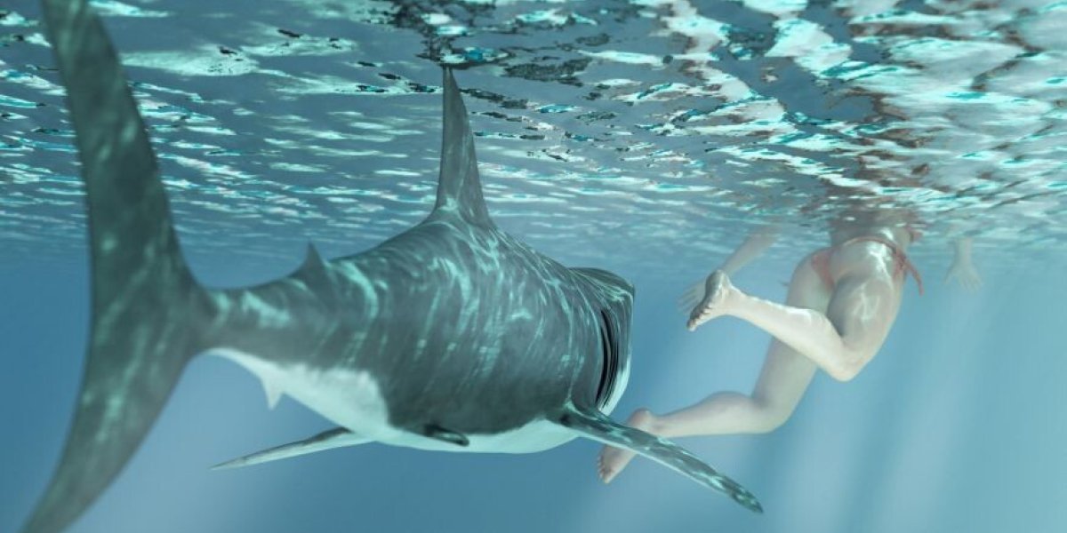 Тревожные каникулы: почему «безопасные» курорты преподносят туристам кровавые сюрпризы? Тревожные каникулы: почему «безопасные» курорты преподносят туристам кровавые сюрпризы?