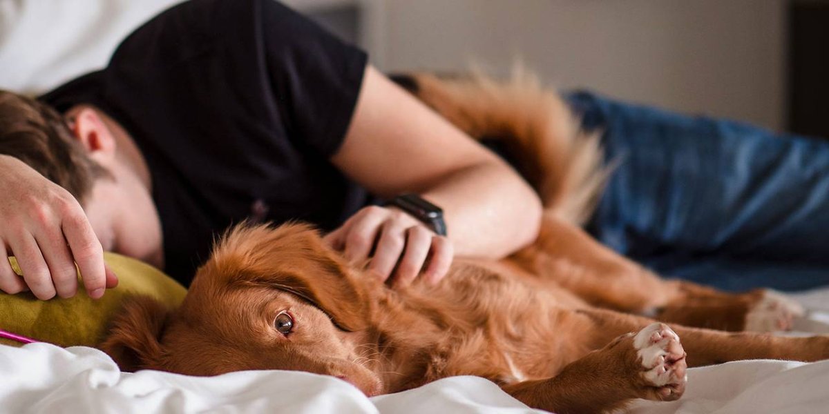 Спать до обеда опасно: врач рассказал, к чему приводит попытка отоспаться за весь год Спать до обеда опасно: врач рассказал, к чему приводит попытка отоспаться за весь год