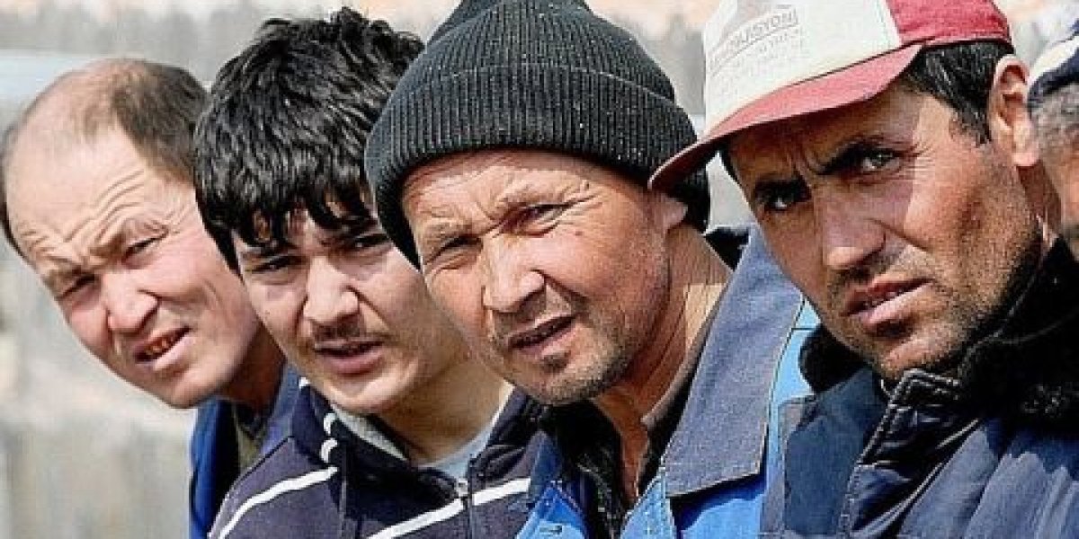 Госдума ужесточает правила: что ждет мигрантов за поддельные справки и уклонение от медосмотра Госдума ужесточает правила: что ждет мигрантов за поддельные справки и уклонение от медосмотра