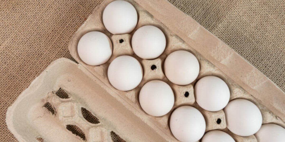 Яйца категории С0: почему специалисты выбирают средний размер вместо крупного Яйца категории С0: почему специалисты выбирают средний размер вместо крупного